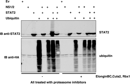 FIG. 6.