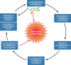 FIG. 2.