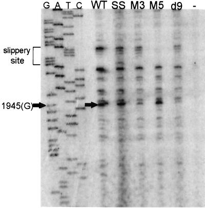 FIG. 6