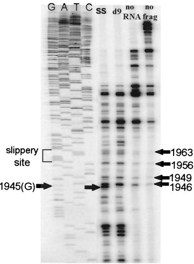 FIG. 5