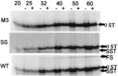 FIG. 9