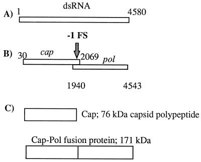 FIG. 1