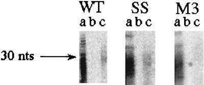 FIG. 7