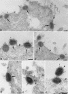 FIG. 5.
