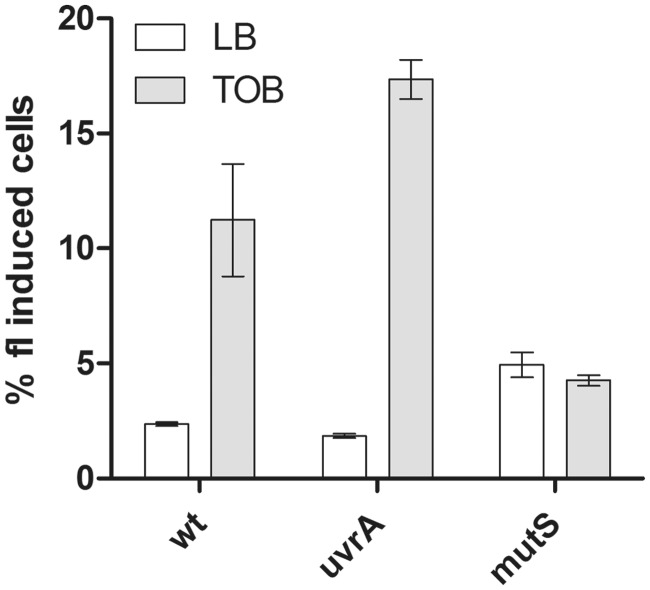 Figure 7.