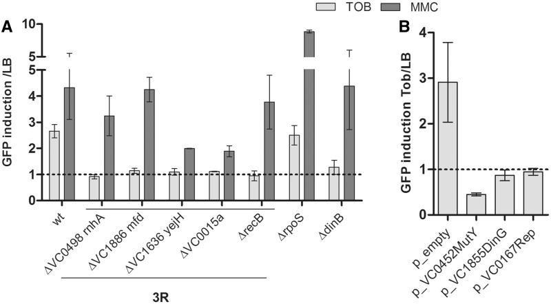 Figure 2.