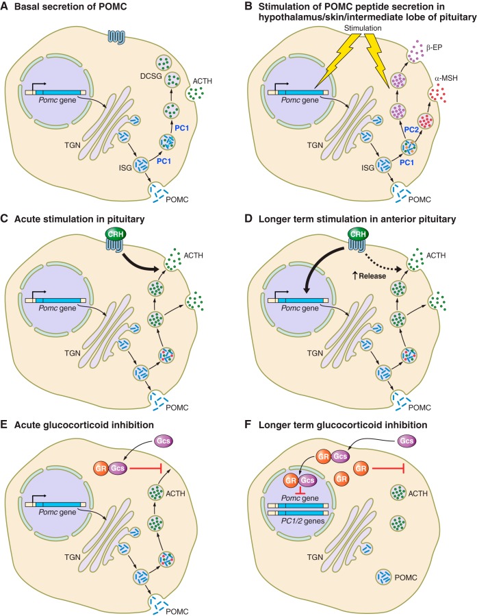 FIGURE 6.