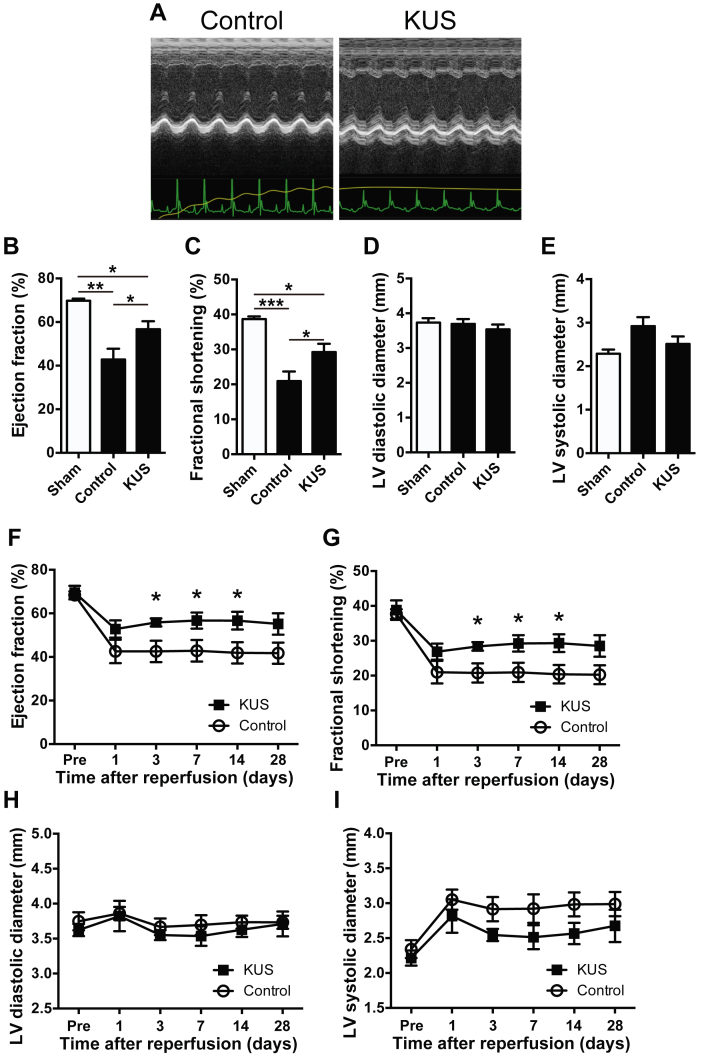 Figure 5