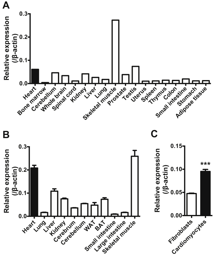 Figure 1