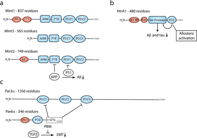 Figure 15