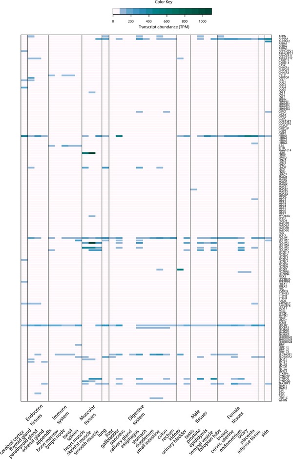 Figure 14