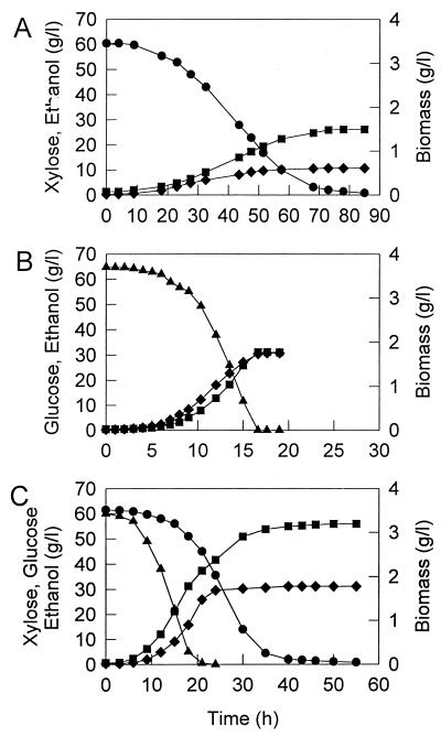 FIG. 1