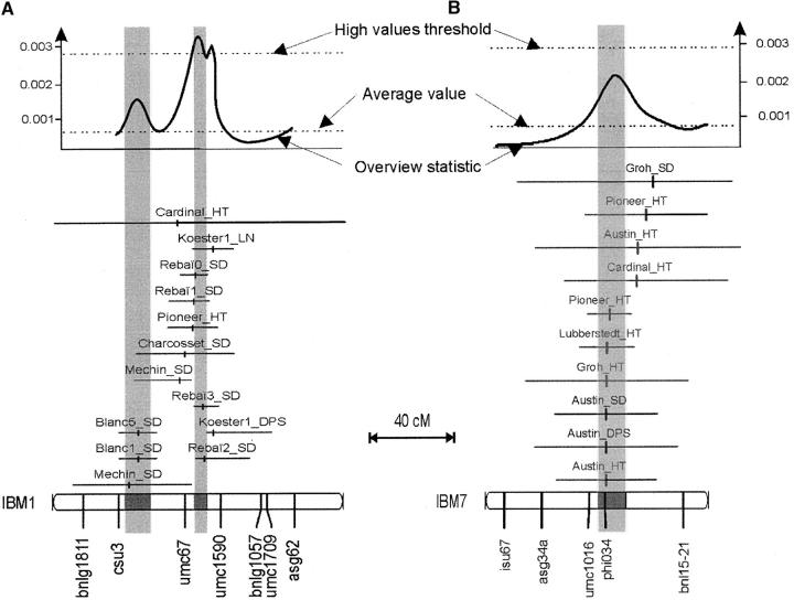 Figure 3.—