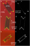 FIGURE 3