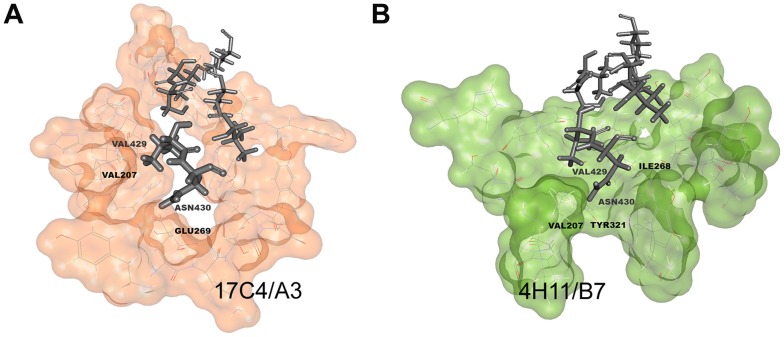 Figure 6