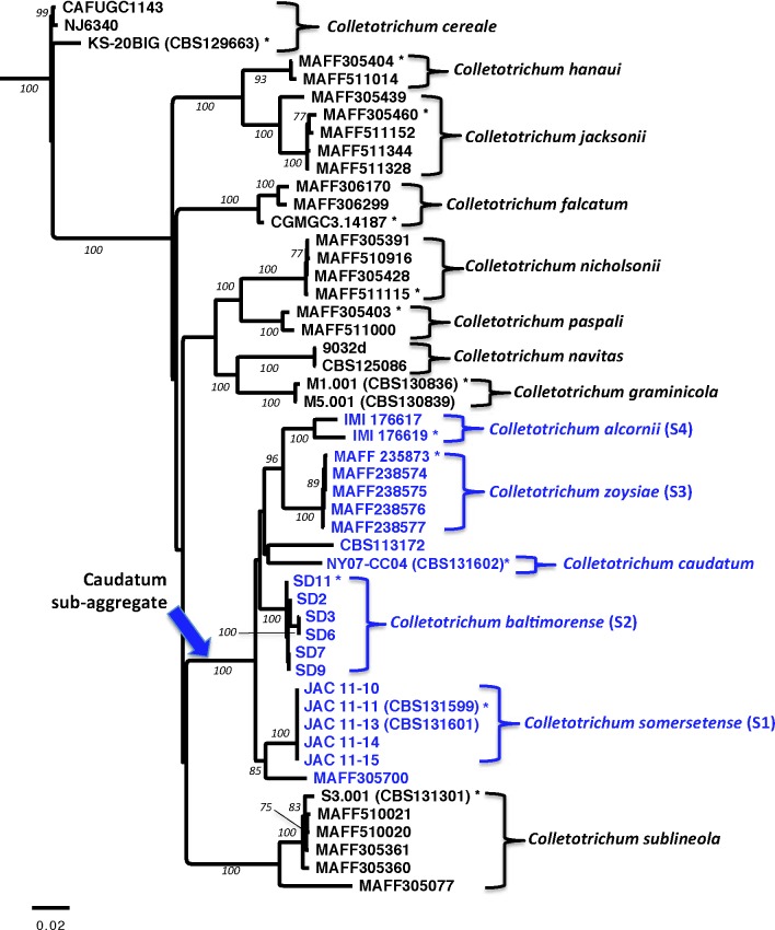 Fig. 3.