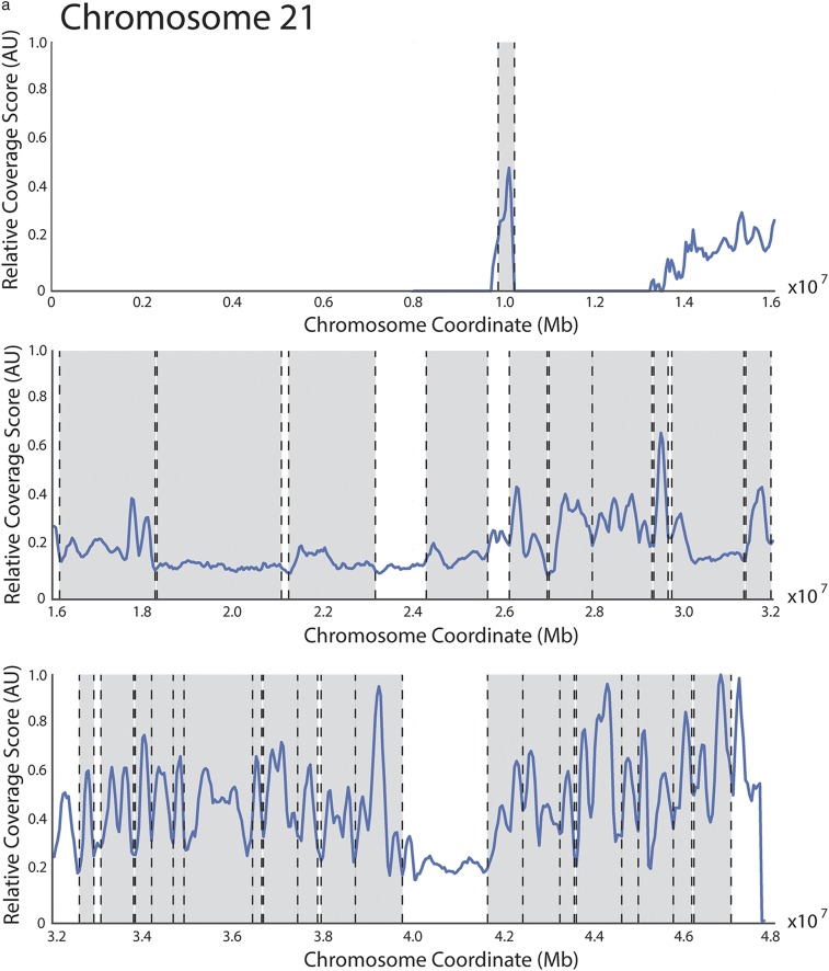 Fig. S1.