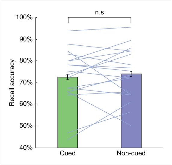 Figure 2—figure supplement 1.