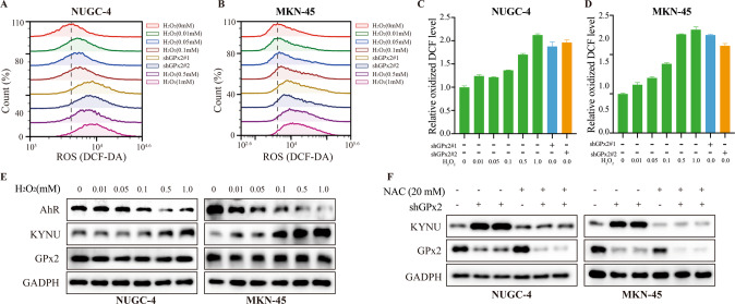 Fig. 6