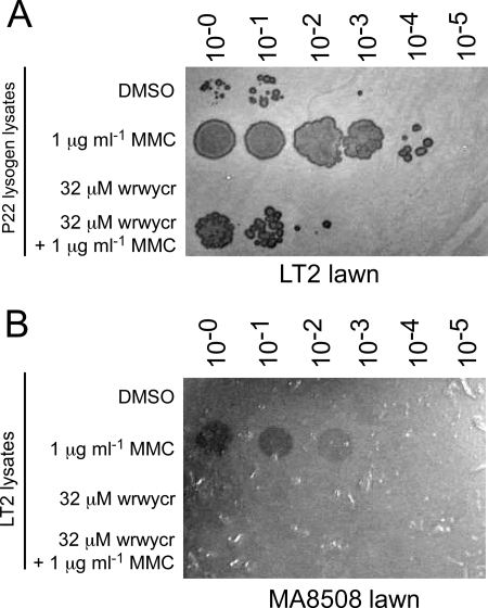 FIG. 2.