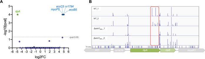 FIG 2