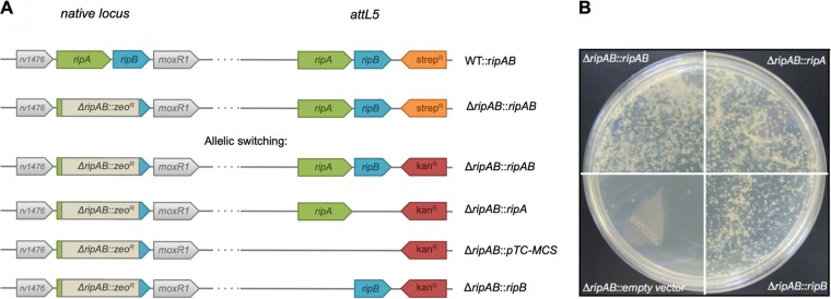 FIG 3