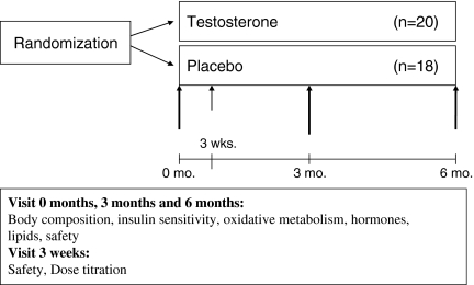 Fig. 2