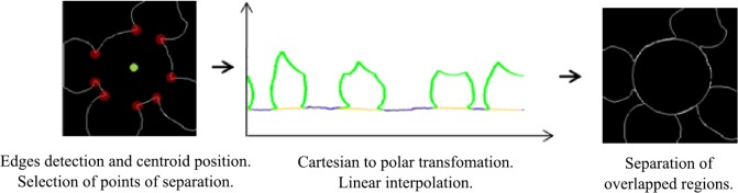 Fig 10