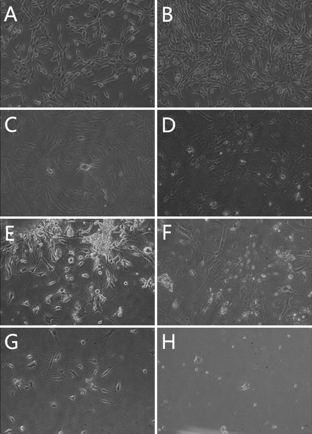 Fig. 6