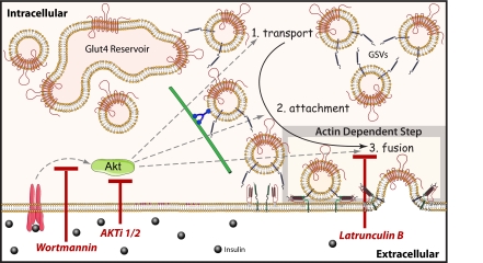 Figure 9.