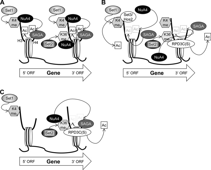 FIGURE 7.