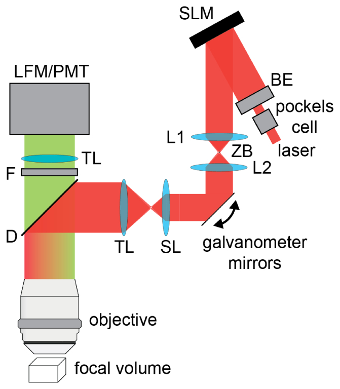 Fig. 3