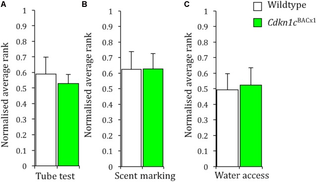 FIGURE 1