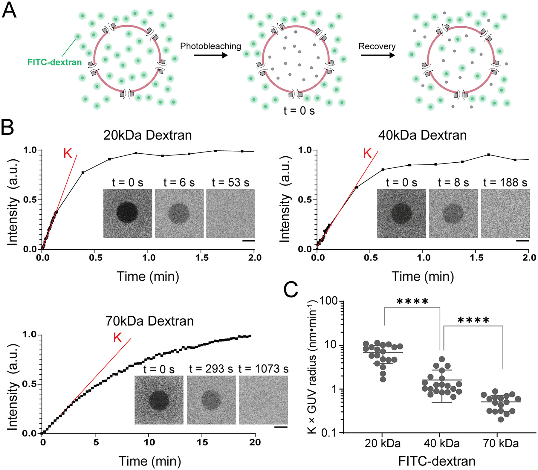 Figure 3: