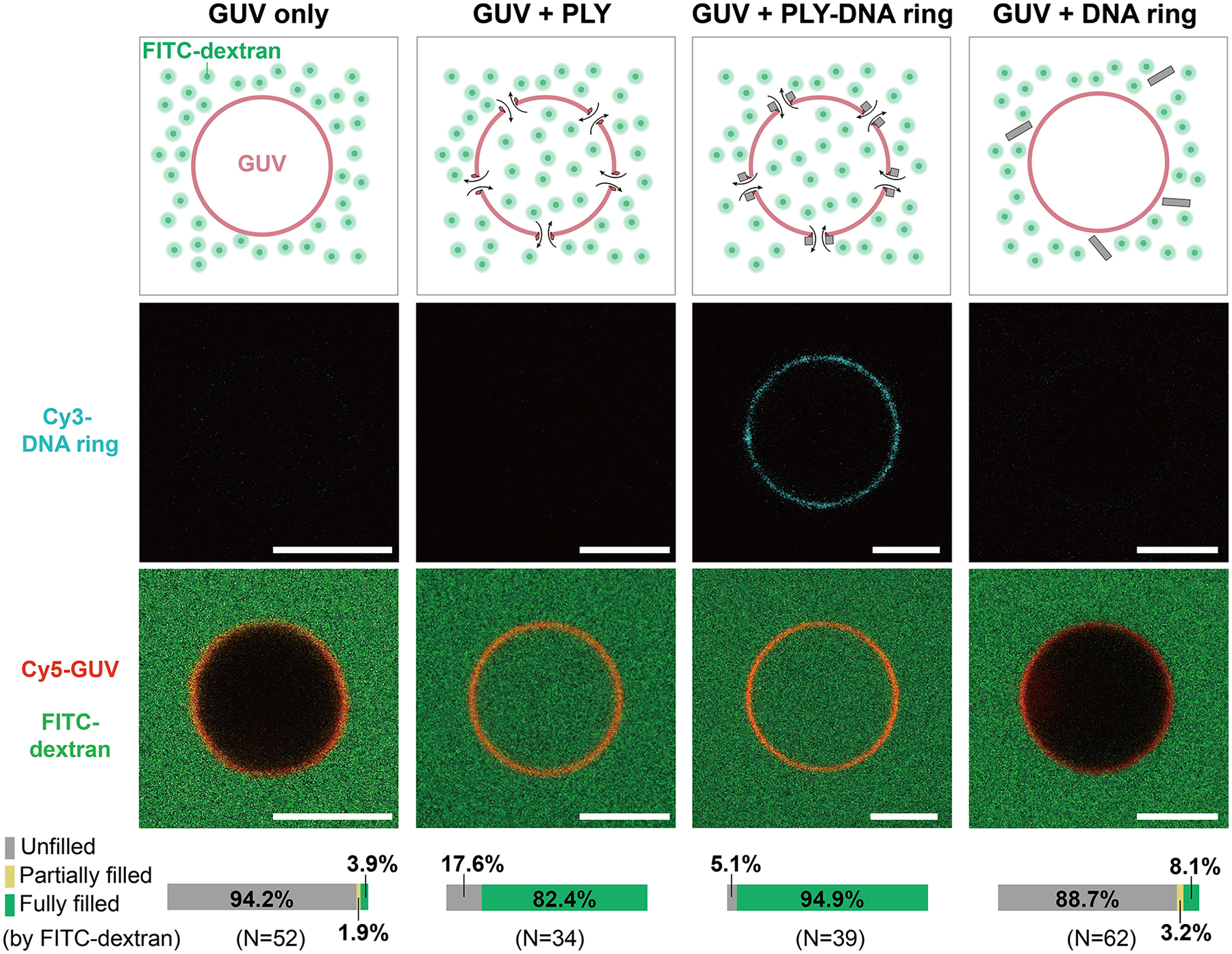 Figure 2: