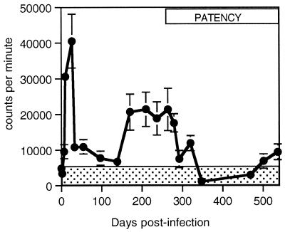 FIG. 1