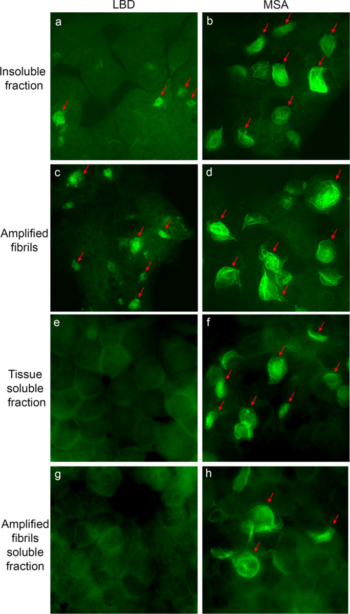 Fig. 2: