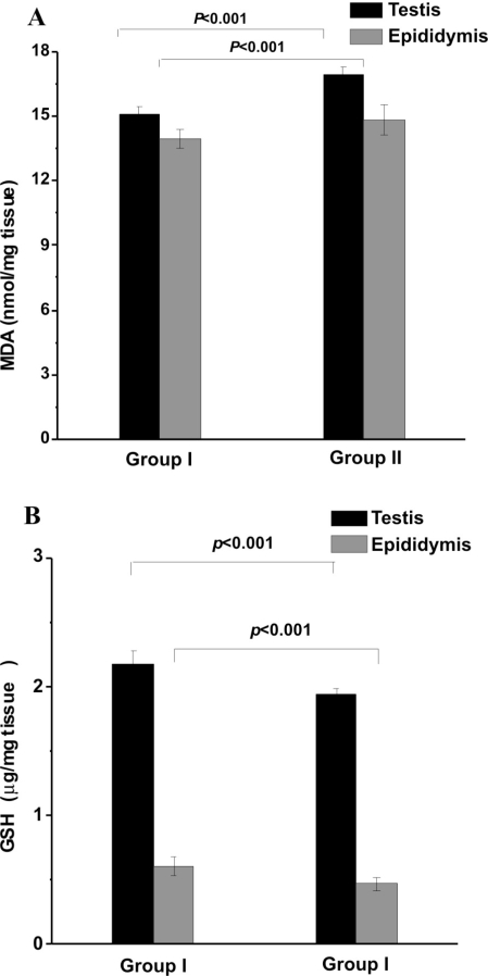 Figure 2 -