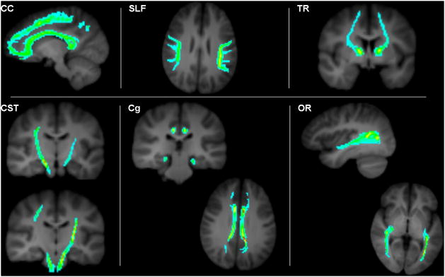 Fig. 4