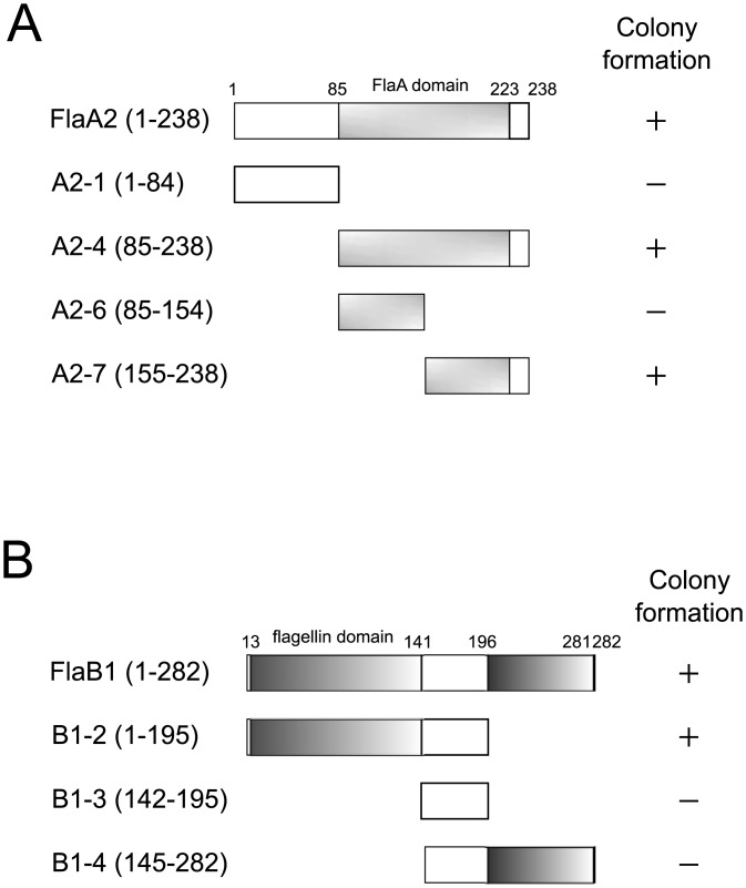 Fig 5