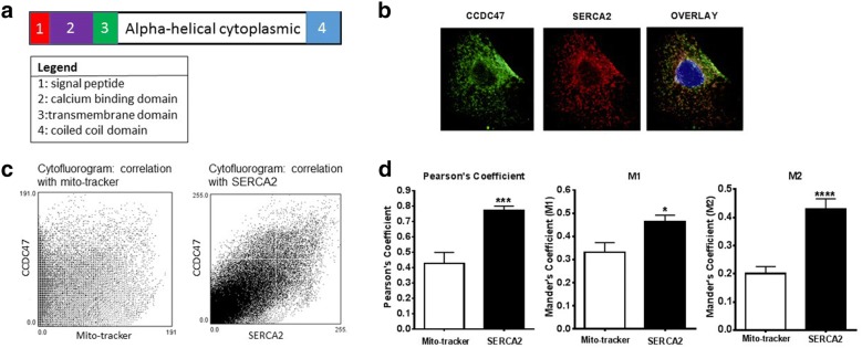 Fig. 3