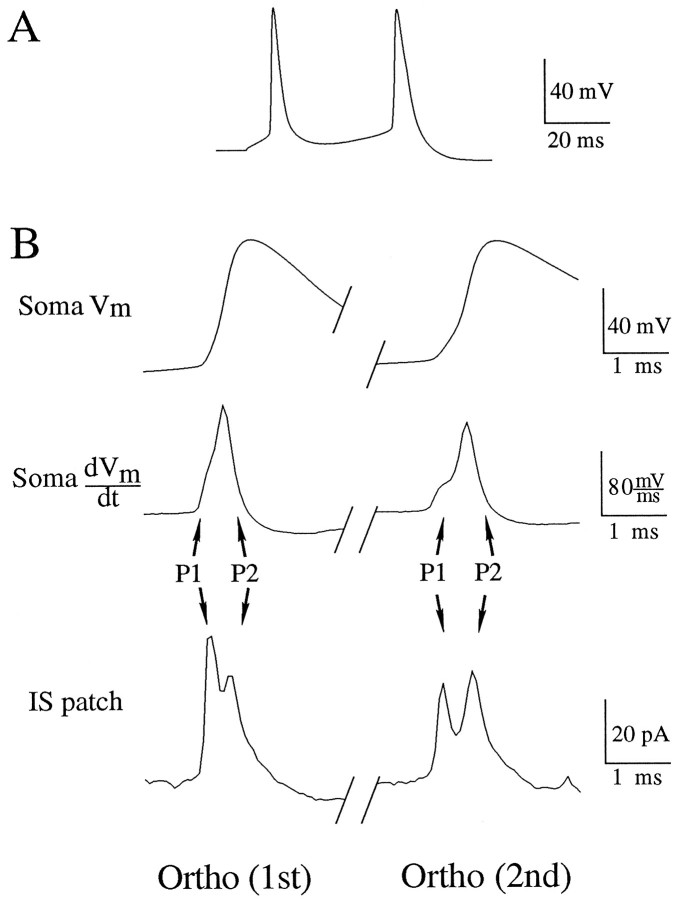 Fig. 4.