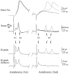 Fig. 3.