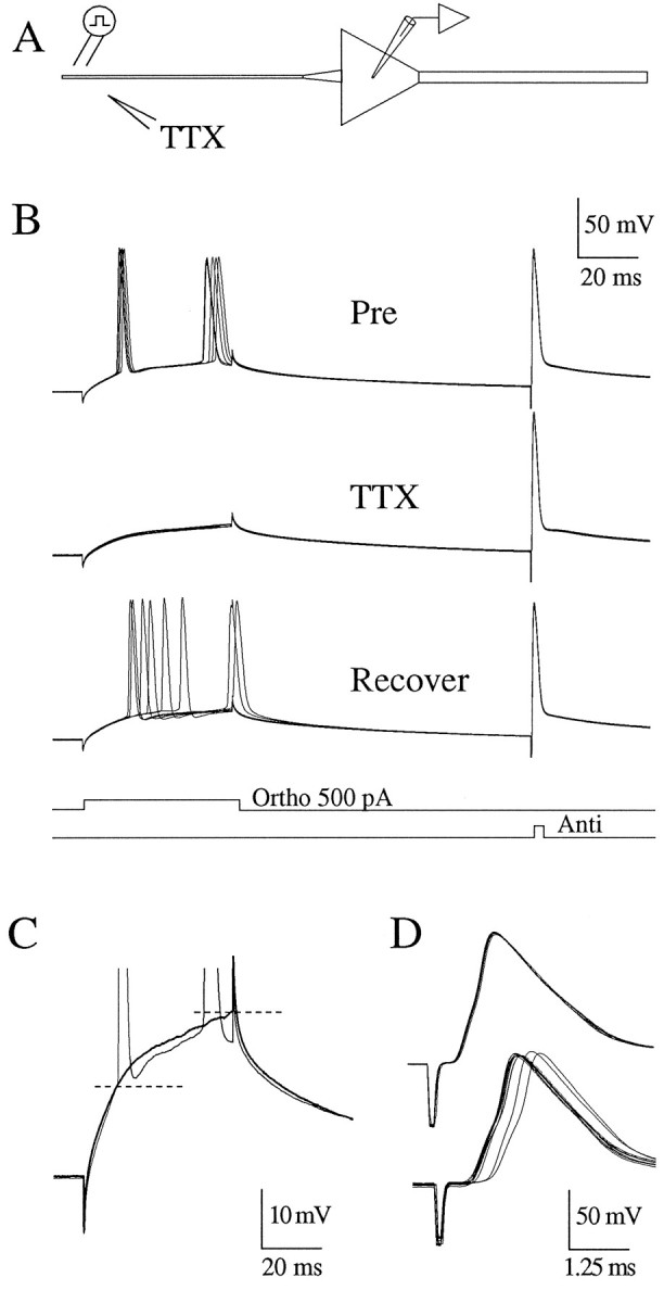 Fig. 7.