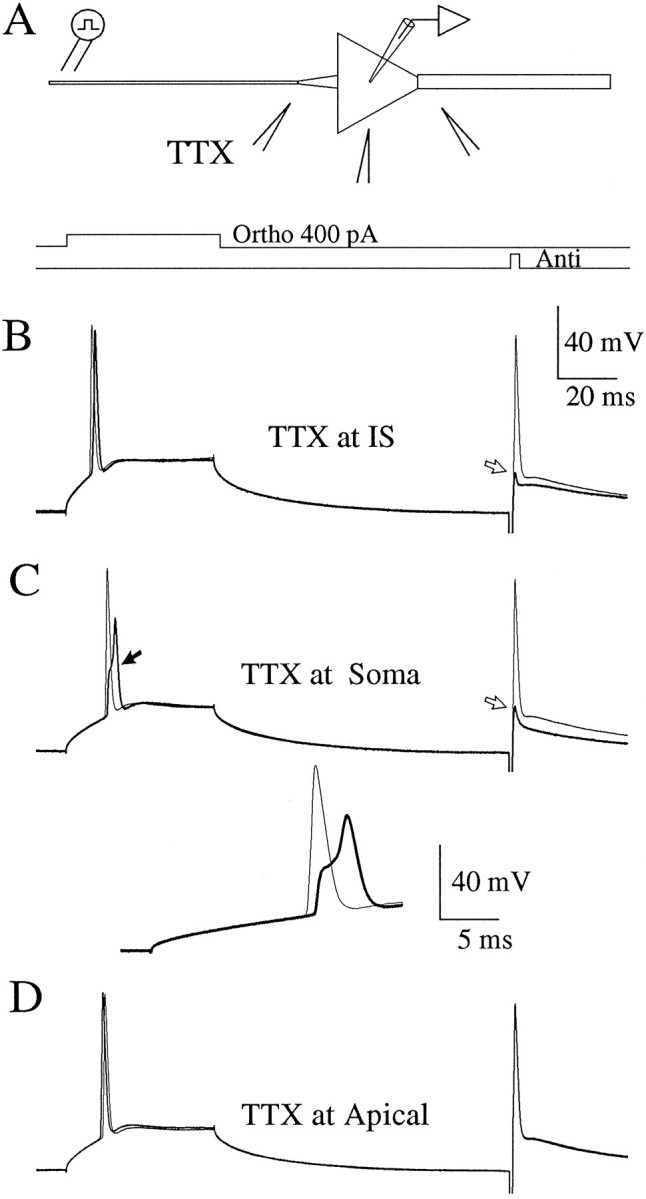 Fig. 6.