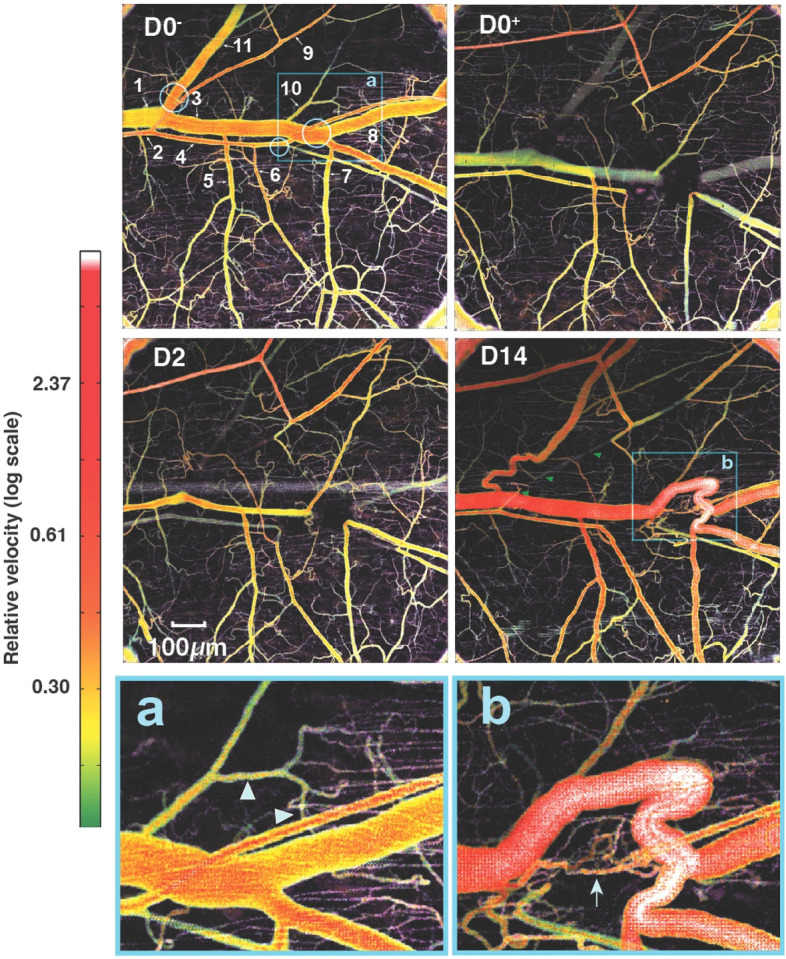 Figure 5