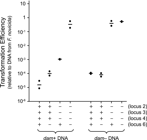 FIG. 4.