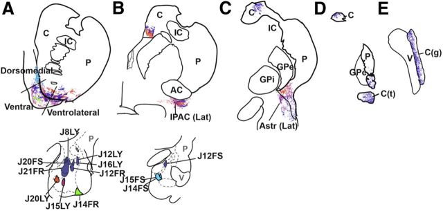 Figure 9.