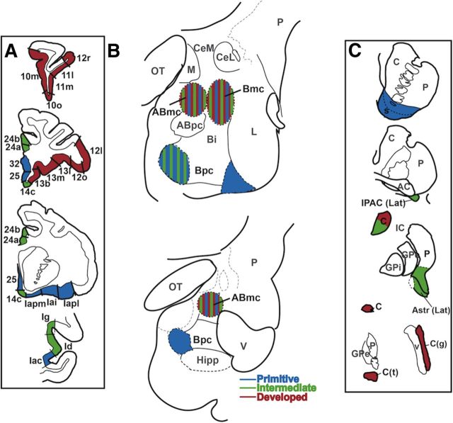 Figure 10.