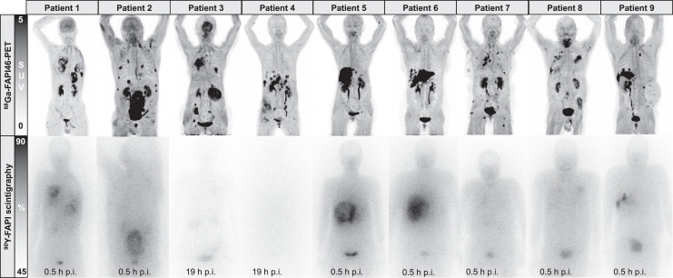 FIGURE 1.